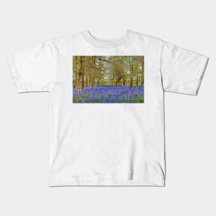 Bluebell Woods Greys Court Oxfordshire UK Kids T-Shirt